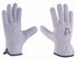 Guantes MASSTER N GP-016 | 3L