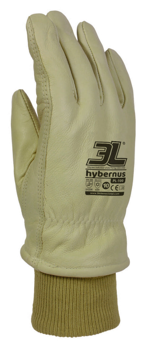 Guantes Hybernus PL-100 | 3L