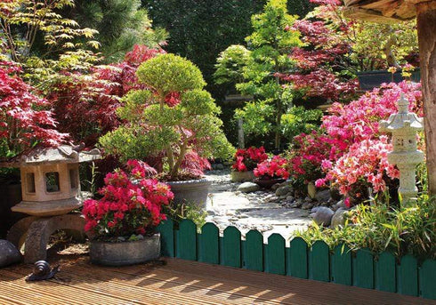 Verde Bordura Sierra Verde Exterior Jardin 4uds (20x80cm)