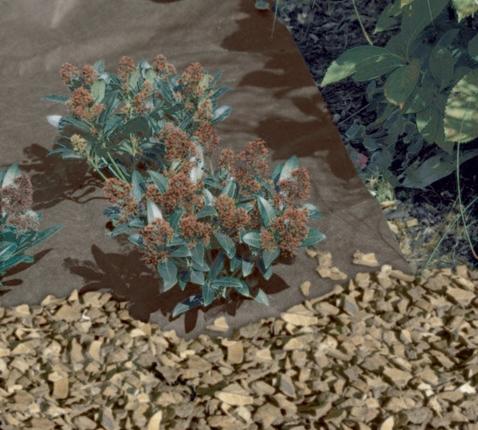 Marron / 1.6x10m Malla Antihierbas Nortene Geotex